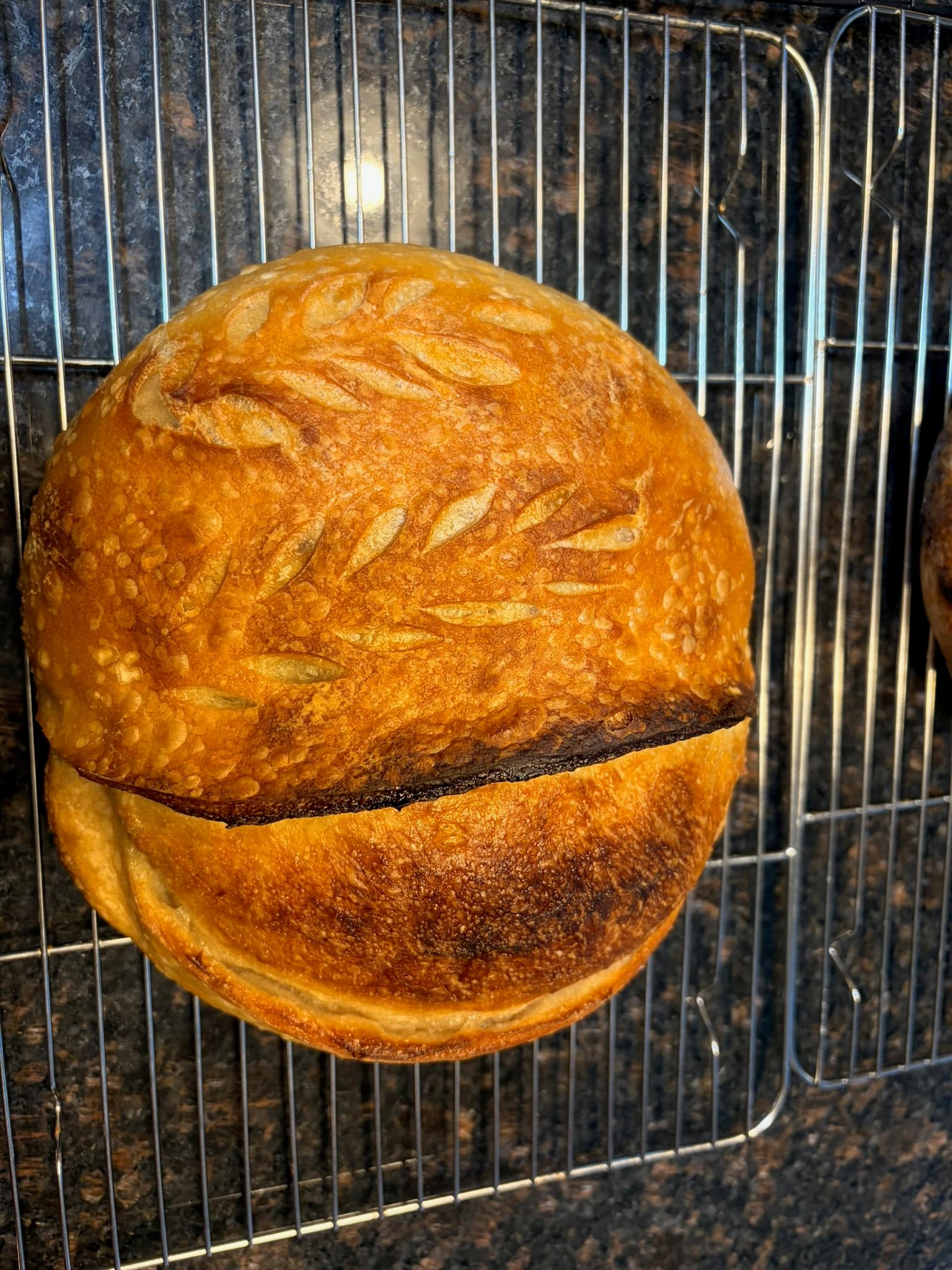 Croissant Organic Sourdough Bread