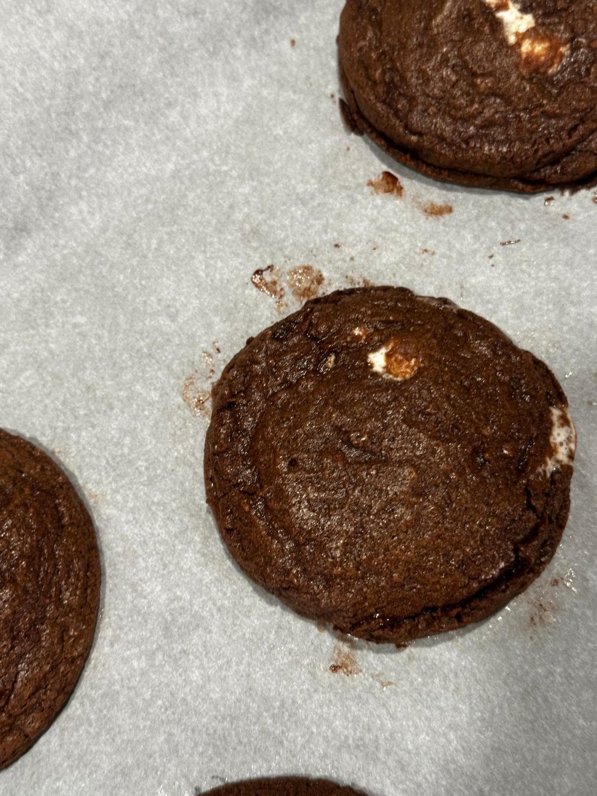 Hot Cocoa Cookies - 2
