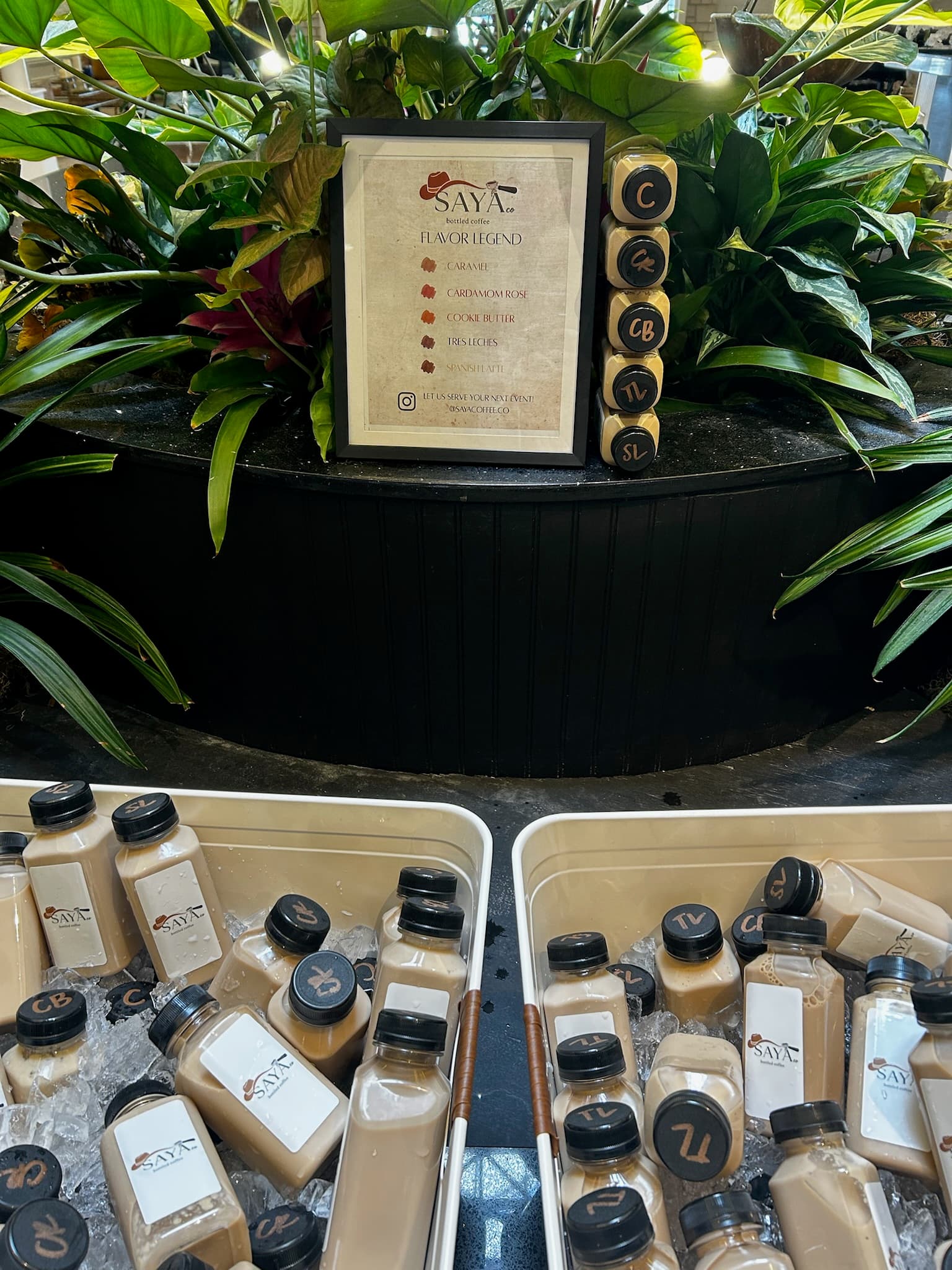 SAYA Bottled Coffee - 25 8oz bottles - 4