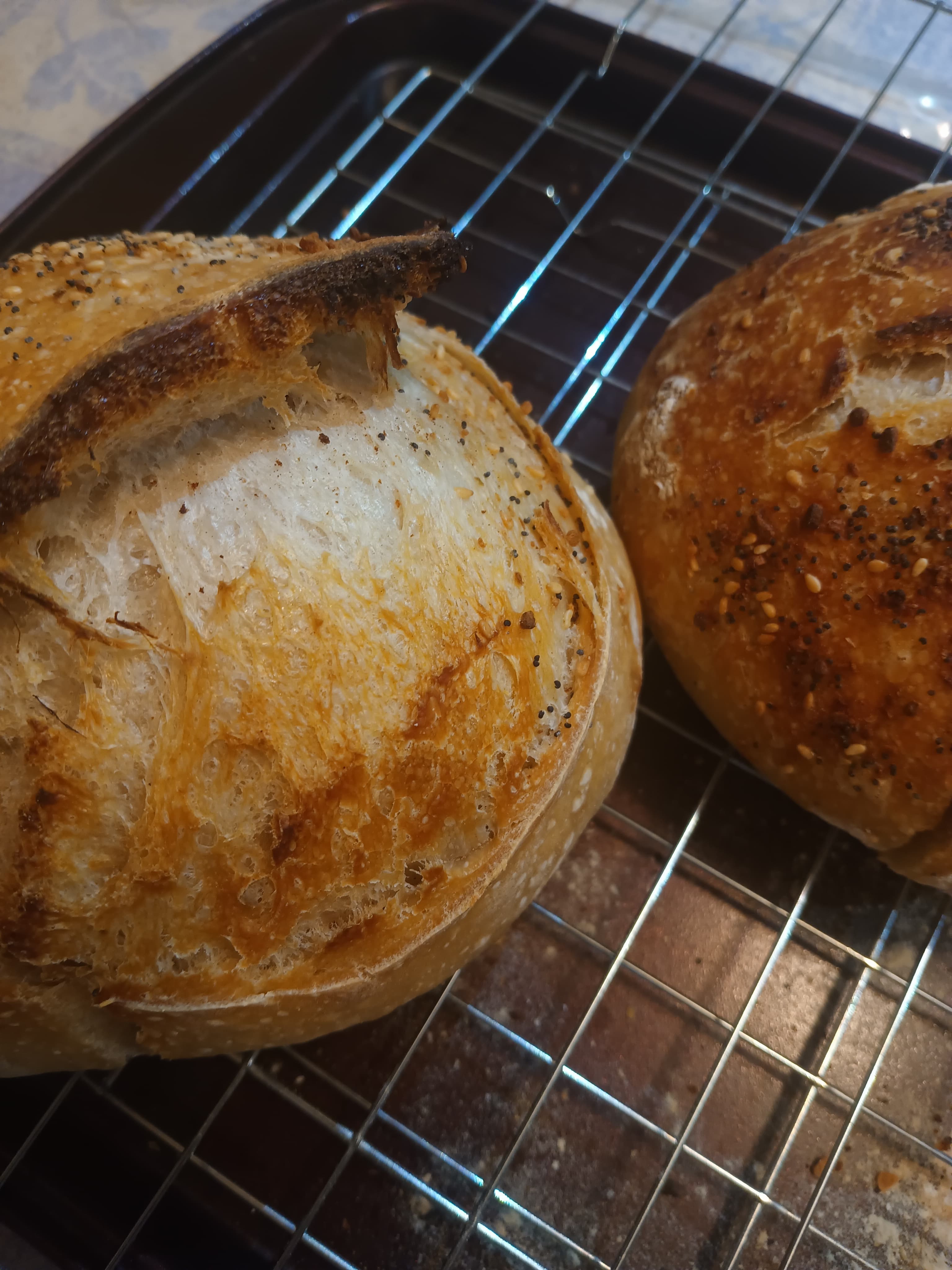 Sourdough Loaf (Mini) photo