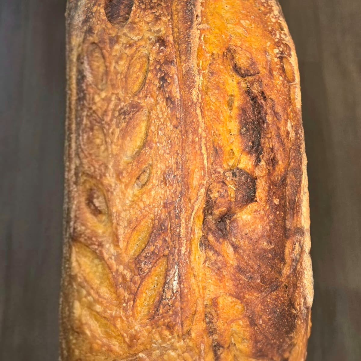 Pumpkin Cinnamon Swirl  Sourdough Loaf - 2