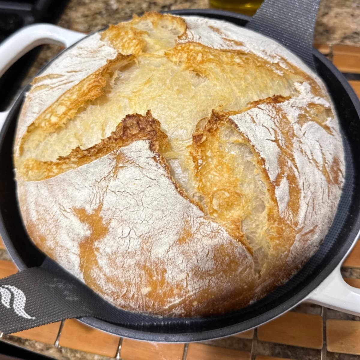 Sourdough bread plain photo