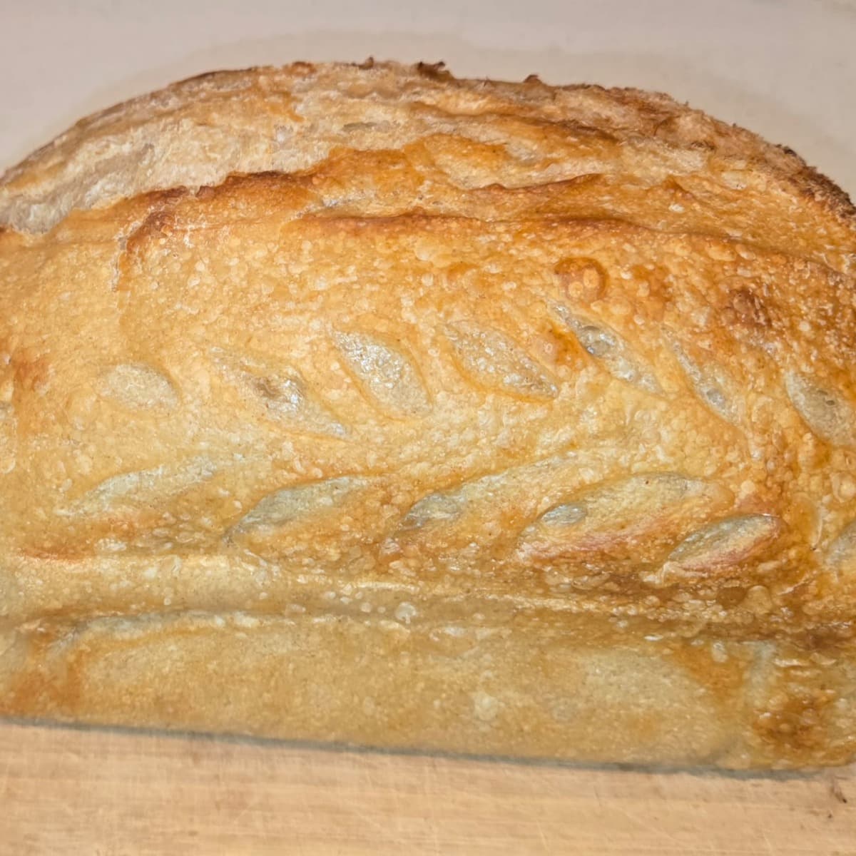 Classic Artisan Sourdough Loaf photo