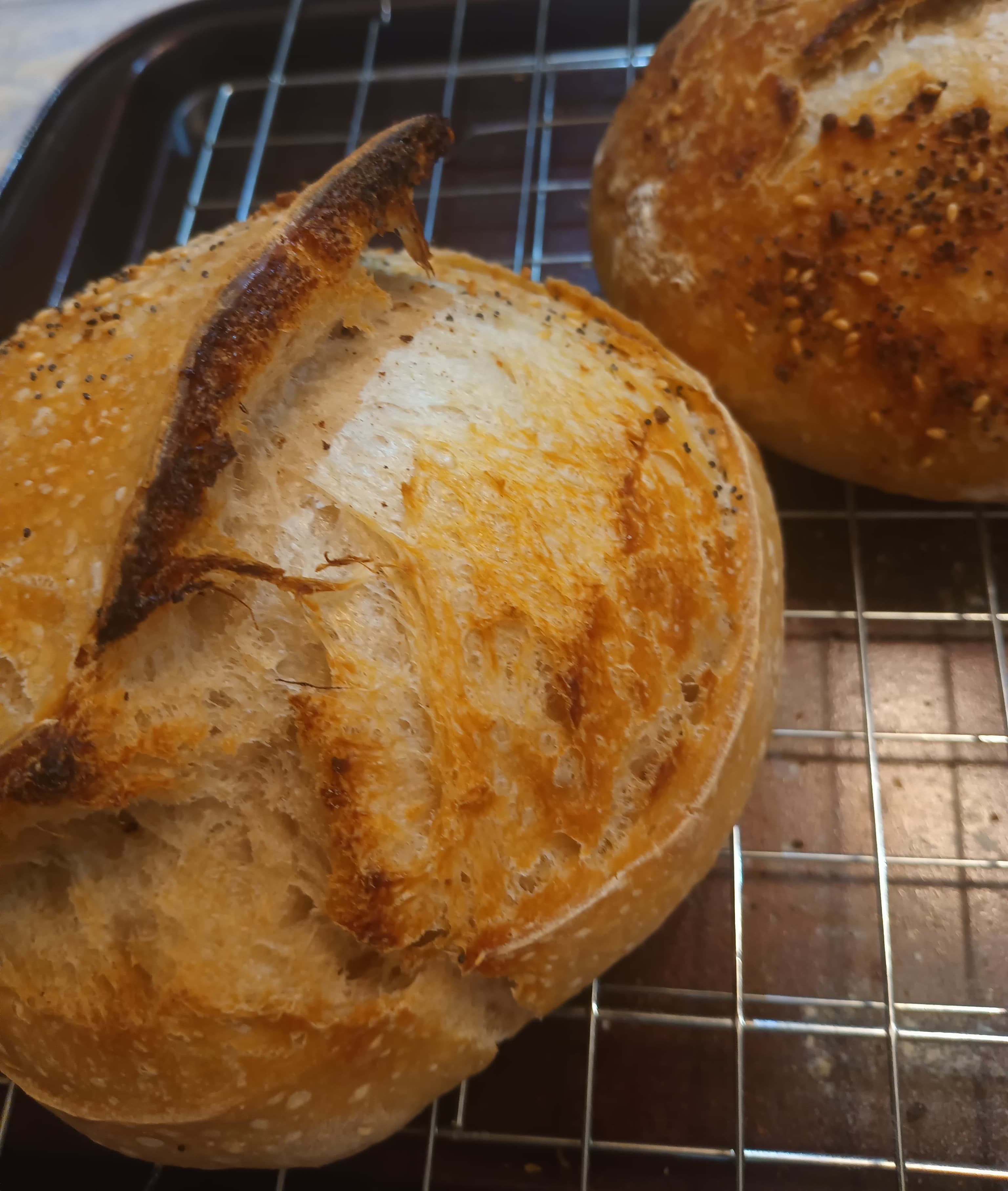 Sourdough Loaf (Mini) - 2