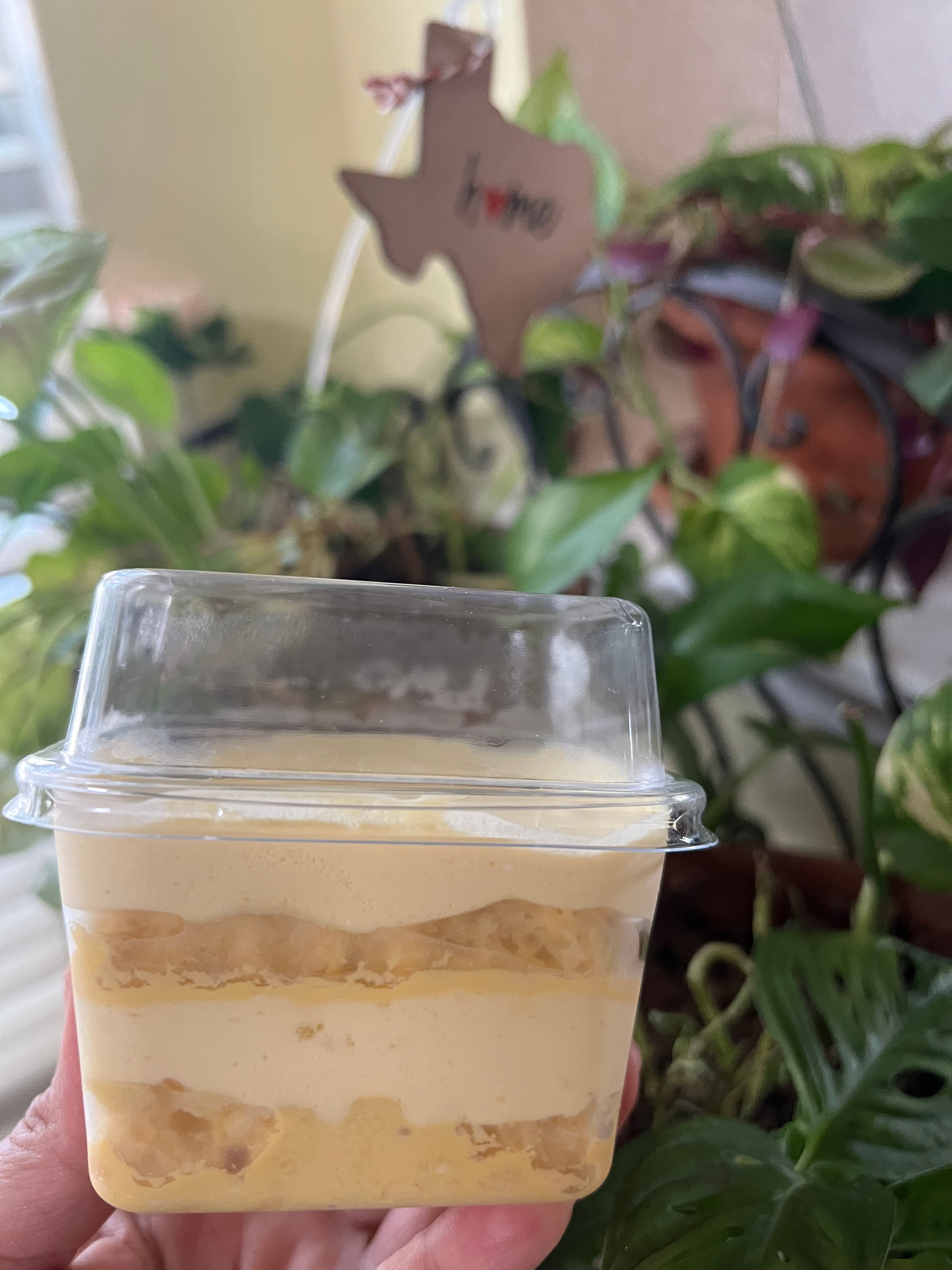 Mango Milk Cake
