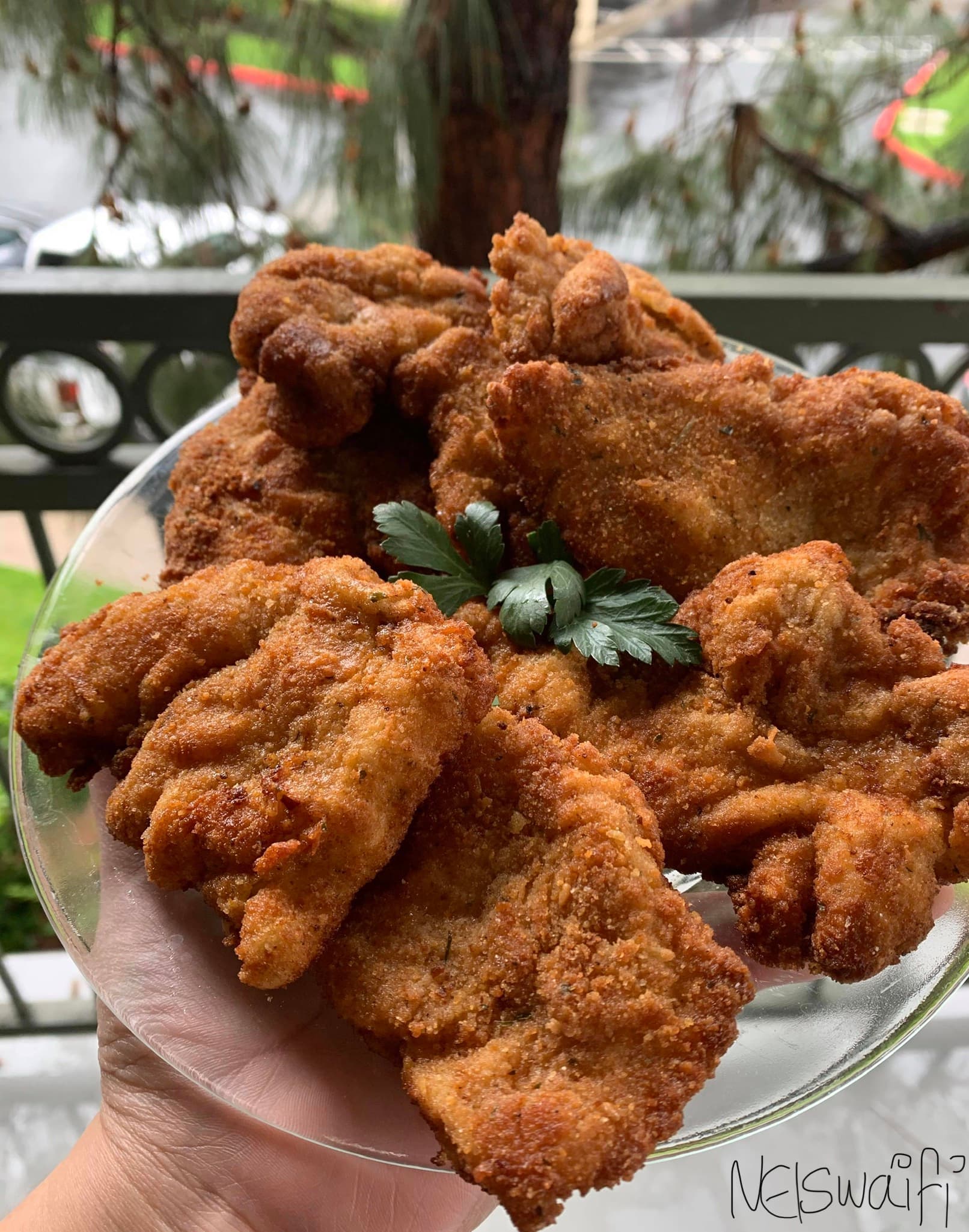 Chicken Pané
