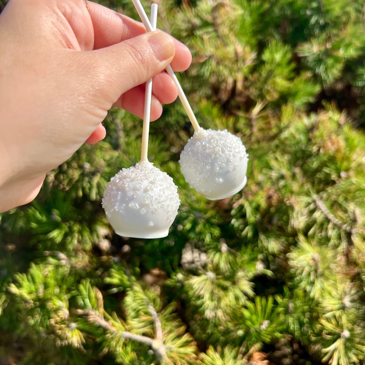 Cakepops photo