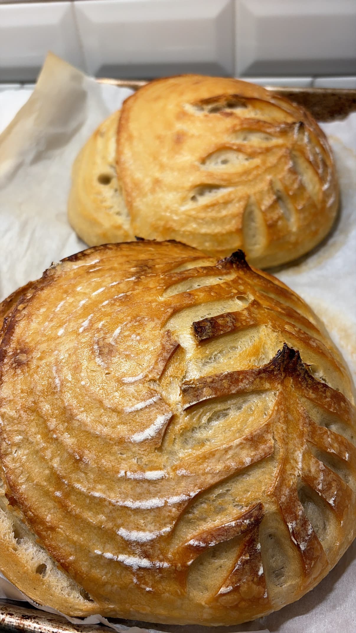 Sourdough Bread - 2