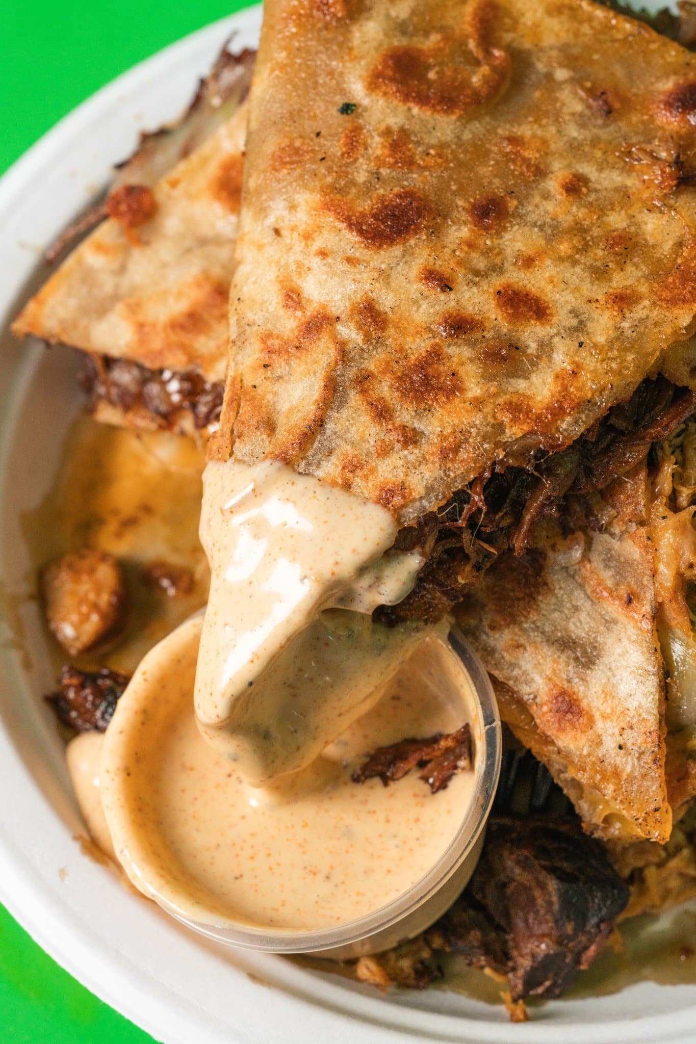 Nihari Birria Quesadilla photo
